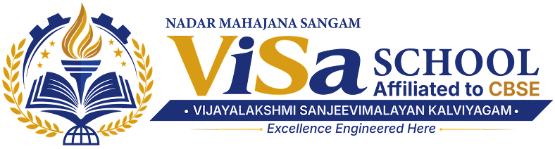 ViSa Logo